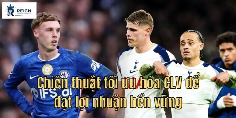 Chien thuat toi uu hoa CLV de dat loi nhuan ben vung