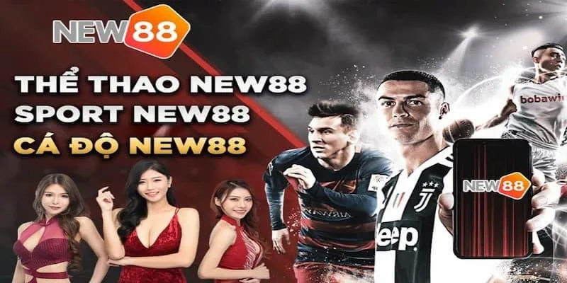 New88 nha cai the thao cuc chat - Đánh giá New88